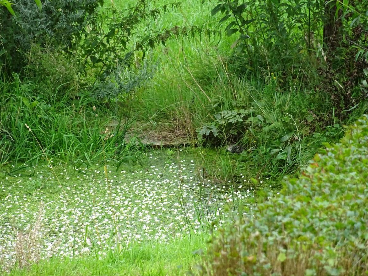 Hermsdorf Urselhof公寓 外观 照片